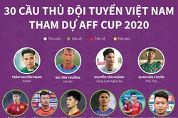 Danh sách đội tuyển Việt Nam tại AFF Cup