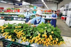 ''Chạm mốc'' 9.400 tỷ đồng