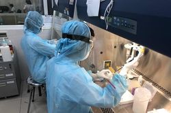 Chưa phát hiện biến chủng Omicron tại TP HCM