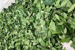 Loại cây mọc đầy vườn nhà: Trước nhổ cho không, nay giá gần triệu đồng/kg