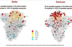 Chuyên gia WHO khuyến khích tăng cường tiêm vaccine