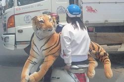 Hình ảnh hài hước khắp thế giới