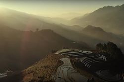 Hãng thông tấn Pháp mê mẩn ruộng bậc thang của Việt Nam
