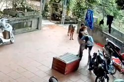 Đứng tim cảnh trăn 'khủng' sổ lồng, lao thẳng ra cắn chặt vào mặt người đàn ông