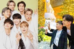 Con trai Đan Trường xứng danh rich kid, được bố mẹ mua vé VIP đi xem BTS biểu diễn