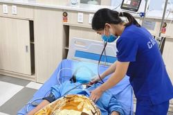 Người phụ nữ nhập viện khẩn cấp, sốc phản vệ độ 3 do 60 vết ong đốt toàn thân