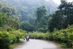 Hà Nội tiếp tục rét đậm, rét hại dịp cuối tuần