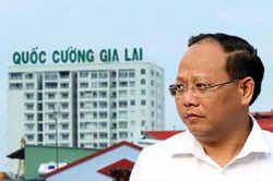 Vì sao không xử lý hình sự Tổng Giám đốc Quốc Cường Gia Lai vụ 32ha đất Phước Kiển?