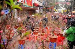 Chốt đề xuất nghỉ Tết Nguyên đán Nhâm Dần trong 9 ngày