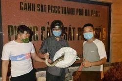 Người 'giải cứu' động vật hoang dã