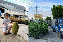 Hành trình kinh doanh cây giống của nam sinh tuổi 19