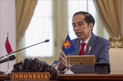 Tổng thống Indonesia tuyên bố bước đầu kiểm soát thành công đại dịch