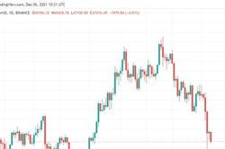 Mua Bitcoin, Tổng thống El Salvador khẩu chiến với 'Bọ vàng' Peter Schiff