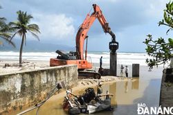 Rút ngắn thời gian khi hợp nhất 3 thủ tục hành chính về nhận chìm chất nạo vét trên biển