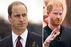 Hoàng tử Harry nói nếu làm việc không vui thì hãy nghỉ việc, dân mạng chê thiếu thực tế