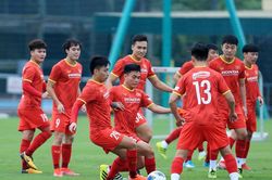 WLF yêu cầu hủy bỏ dự án mới về World Cup