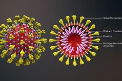 Khẩu trang phát sáng khi phát hiện virus SARS-CoV-2