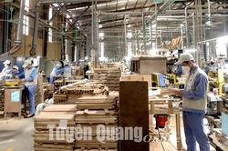Vượt đại dịch, xuất khẩu gỗ tăng trưởng mạnh