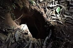 Vụ cô gái trẻ bị sát hại, đốt xác phi tang: Nghi can ôm thi thể nạn nhân trốn dưới giếng cạn