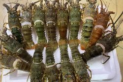 Đặt mâm hải sản đầy tôm cua với giá chỉ 250.000 đồng và cái kết