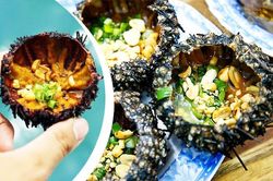 Khoái chí với cách bắt nhum biển số lượng lớn dưới đáy đại dương