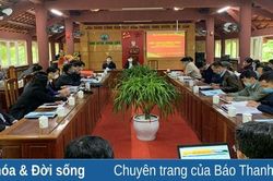 Hội thảo khoa học phát triển cây quế Thường Xuân