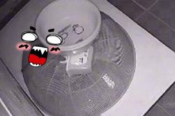 Thấy lồng bàn bị xê dịch dù được chèn kỹ càng, chủ nhà kinh hãi khi kiểm tra camera