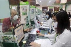 Nhiều ngân hàng, doanh nghiệp sắp chi đậm trả cổ tức dịp cuối năm