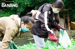 Thúc đẩy giảm rác thải nhựa đô thị