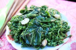 Cùng là lá ngón - loại gây chết người, loại thành đặc sản: Hiếm người dám ăn