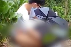 'Sốc' với cặp đôi làm chuyện 'nhạy cảm', lấy ô để che ngay giữa vườn hoa công cộng khiến người đi đường phẫn nộ