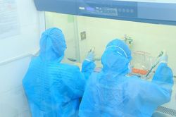 3 ca nghi mắc biến thể mới tại Hồng Kông bay từ Việt Nam không phải do chủng Omicron