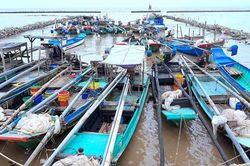 Cà Mau chủ động ứng phó áp thấp nhiệt đới có khả năng thành bão