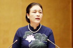 Bà Nguyễn Phương Nga: 'Đối ngoại nhân dân cần linh hoạt, thích ứng với tình hình mới'