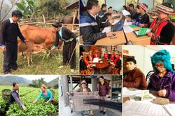 Nguyên tắc phân bổ vốn xây dựng nông thôn mới