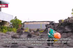 Những người phụ nữ của biển cả trên đảo JEJU