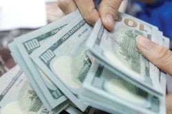 Kho bạc Nhà nước dự kiến thu mua 350 triệu USD, quy đổi 8.000 tỷ đồng