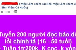 Lừa đảo tìm việc làm gia tăng dịp cận Tết