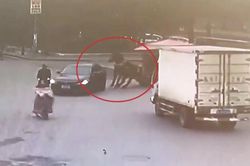 Bị ô tô tạt đầu, chú ngựa kéo xe 'phanh cứng' nhưng vẫn ngã đau điếng