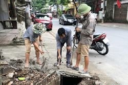 Góp sức cho thành phố thêm xanh