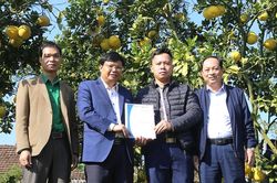 'Tấm vé' thông hành vào thị trường quốc tế
