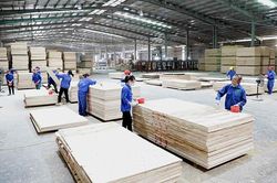 Việt Nam trở thành trung tâm chế biến xuất khẩu gỗ lớn thứ 2 thế giới