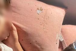 Vợ về nước sinh con, chồng ở Hàn cặp kè với phụ nữ hơn 5 tuổi: Tiểu tam khoe 'clip giường chiếu' và danh tính bất ngờ của kẻ báo tin!