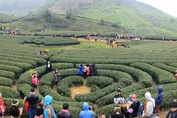 Sơn La ghi nhận 251 F0, điểm du lịch Nông trường Mộc Châu đổi 'màu cam' nguy cơ cao