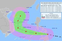 Chủ động ứng phó bão Rai, hạn chế thiệt hại về người, tài sản