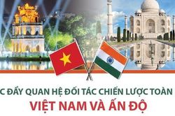 Quan hệ Đối tác chiến lược toàn diện Việt Nam-Ấn Độ