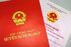 Mua đất cho em trai ở riêng, nhưng bố mẹ không chịu sang tên sổ đỏ cho vợ chồng tôi