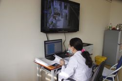 Ngày 16/12: Ghi nhận 4 trường hợp dương tính với SARS-CoV-2