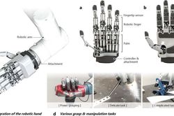 Bàn tay robot linh hoạt như người
