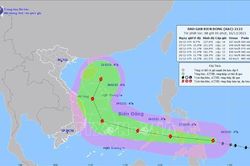 Ứng phó với bão Rai: Tiền Giang áp dụng các biện pháp phù hợp, an toàn